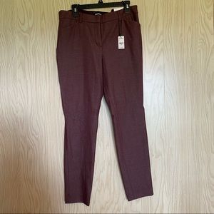 NWT express dress pants